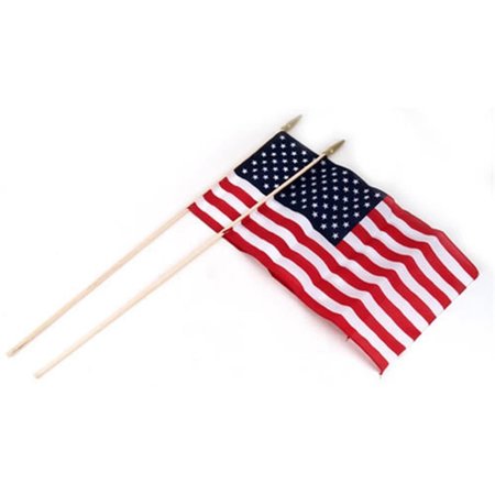 VALLEY FORGE FLAGS Flag  12 x 18 in. Hand Sewn 2 Bag BTUSE12P